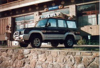 ARO 244